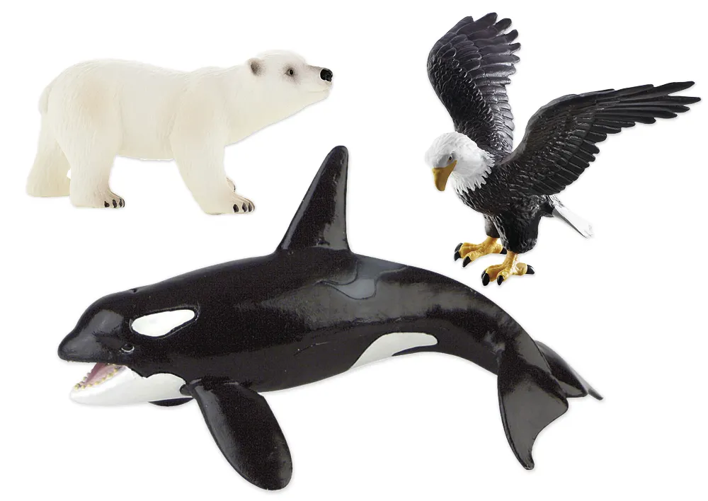 Set Meeres- und Küsten-Tiere, 9-tlg.