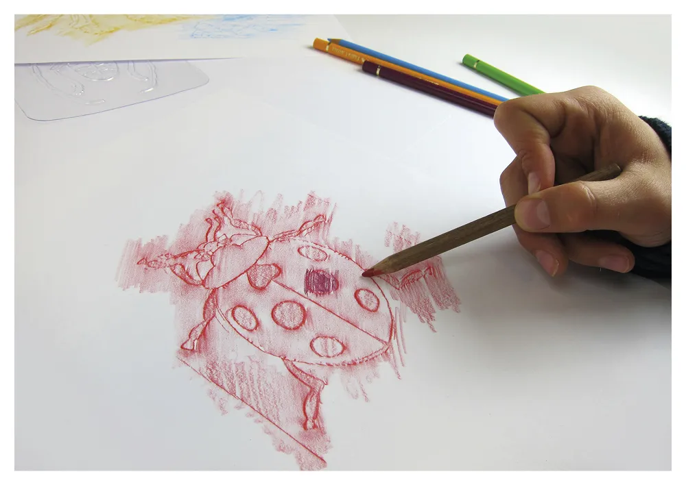 Natur-Rubbelplatten Insekten (16-tlg.)