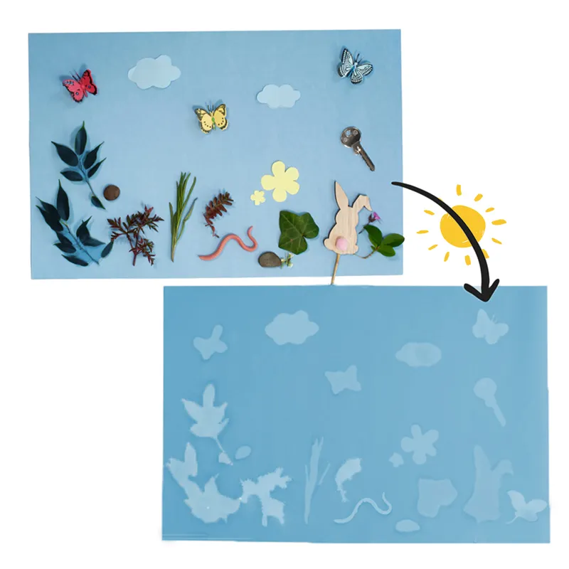 Hagemann Foto-Solarpapier mit Fixierfolie, A3, 20 Blatt