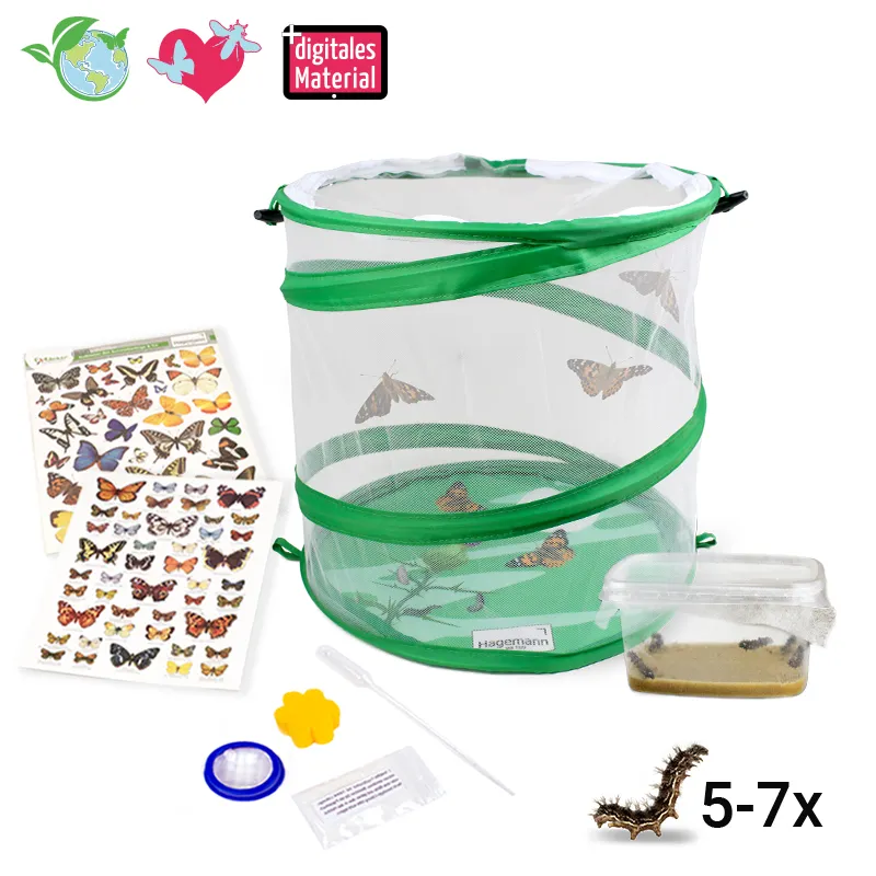 Hagemann Schmetterlings-Zuchtset, kompakt (5-7 Raupen)