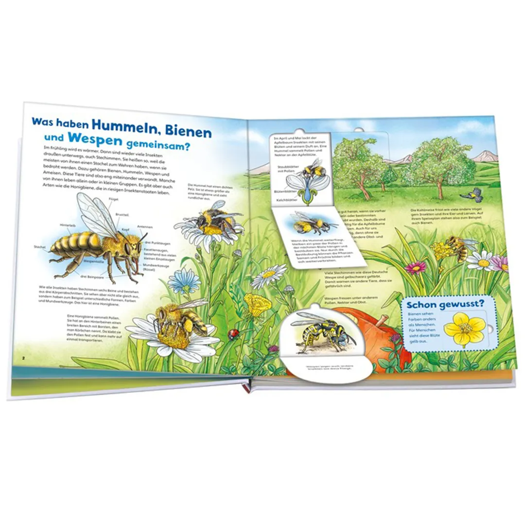 Was ist Was junior: Bienen, Wespen, Hummeln