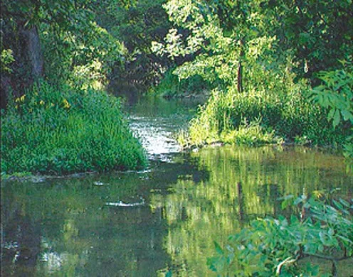 DVD-Lehrfilm Wasserkreislauf in der Natur