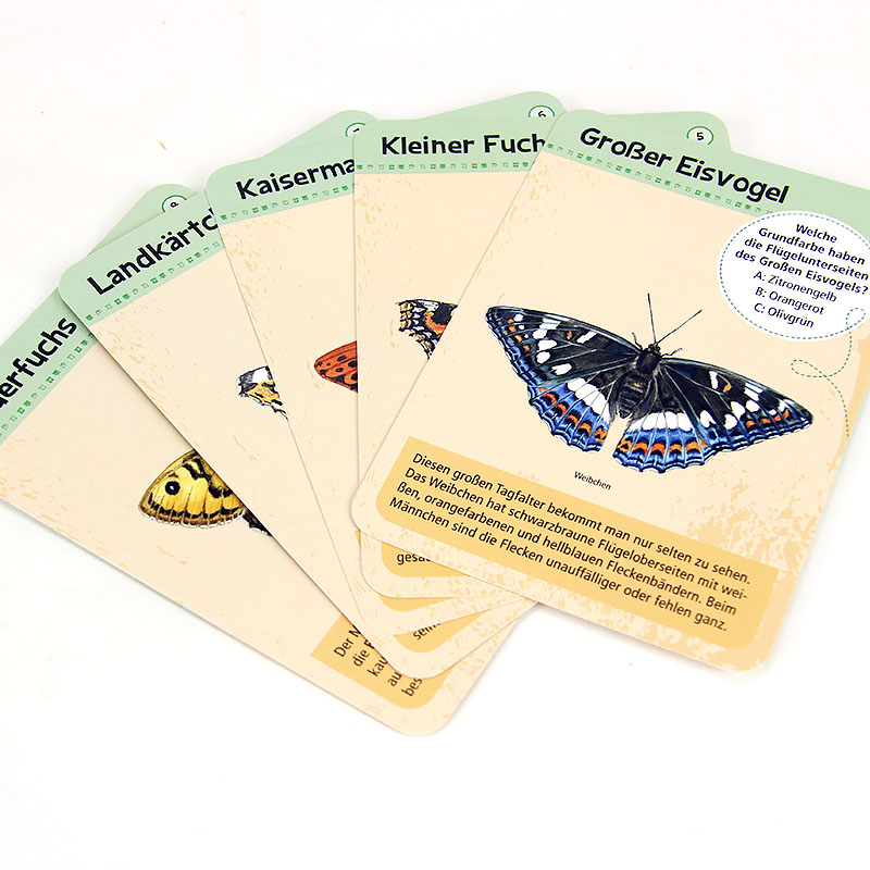 50 heimische Schmetterlinge entdecken und bestimmen
