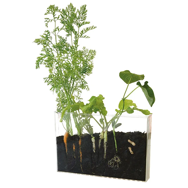 Wurzel- und Regenwurm-Beobachtungs-Set (2 Stück)