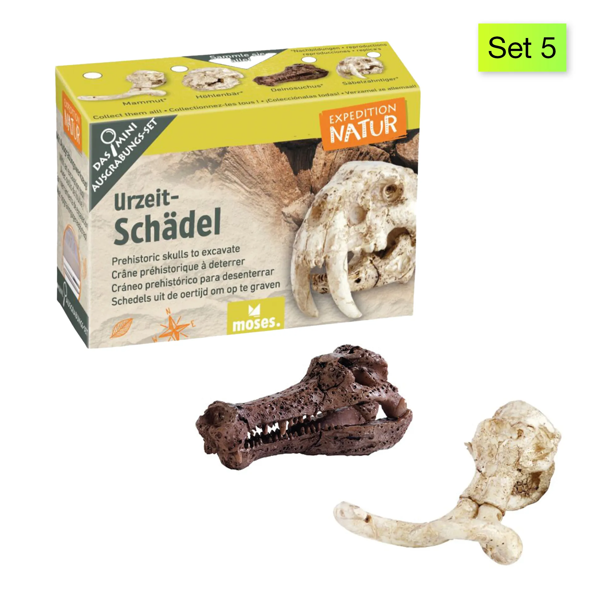 Ausgrabungs-Set "Schatzsuche", klein