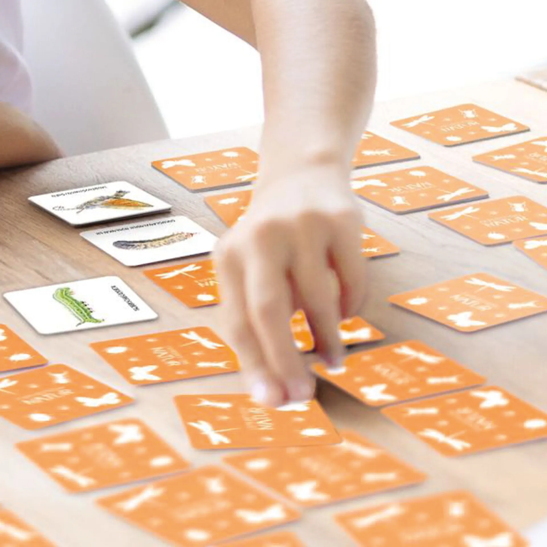 Das große Insekten Memo, 61-tlg.