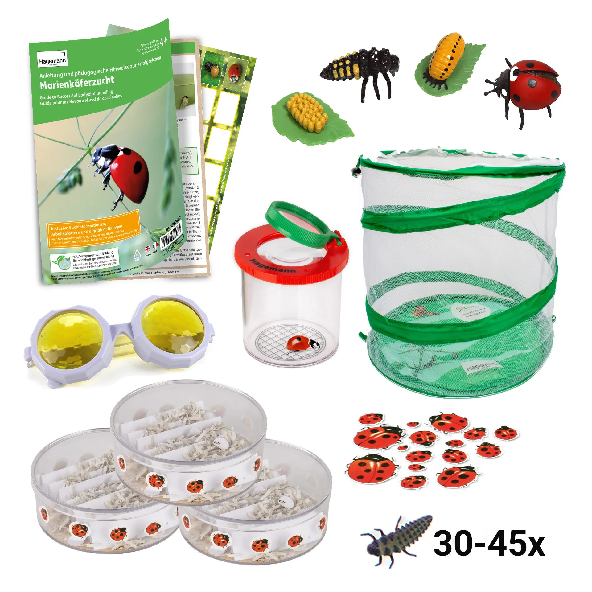 Hagemann Gruppenprojektset Marienkäfer (30-45 Larven)