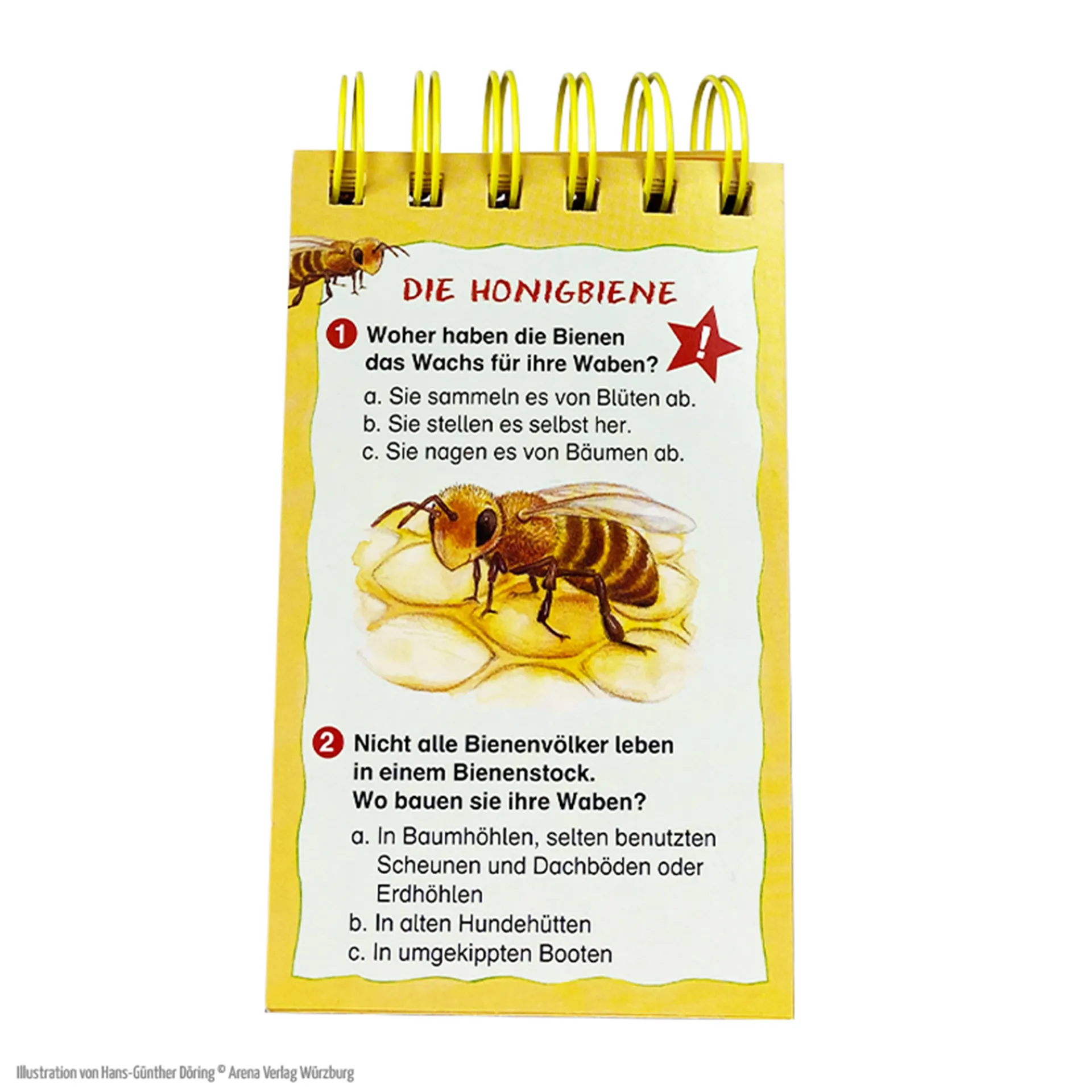 Rate dich schlau! Quiz – Die Biene und unsere Natur