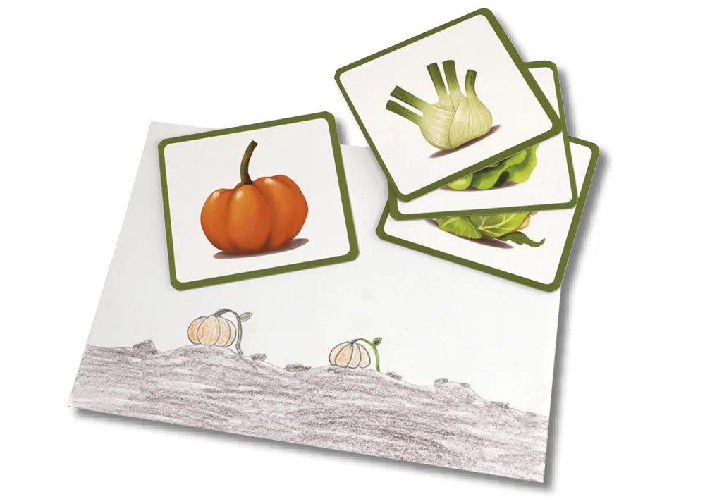 Bildkarten Gemüse, 24-tlg.