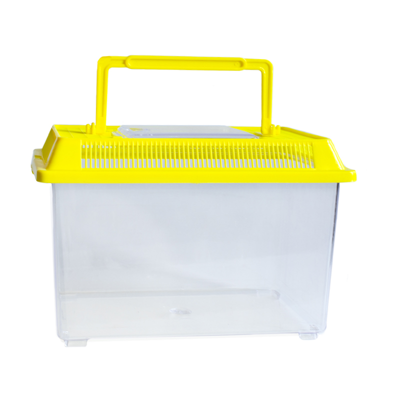 Insekten-Beobachtungsbox
