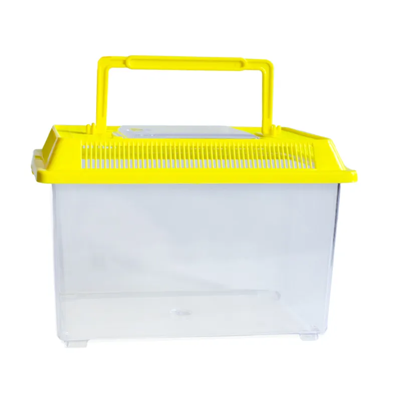 Insekten-Beobachtungsbox