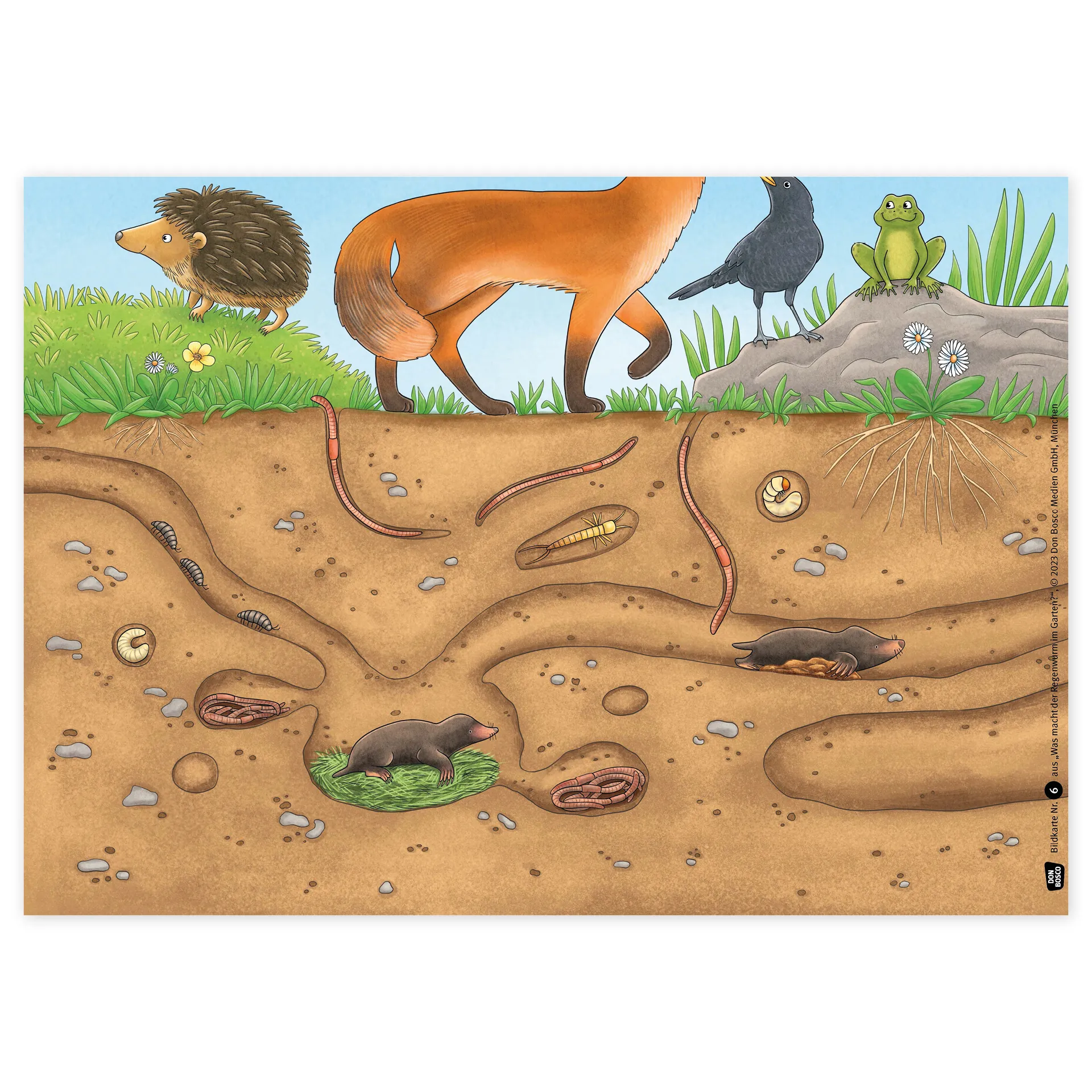 Bildergeschichten-Karten "Was macht der Regenwurm im Garten?", 12-tlg.