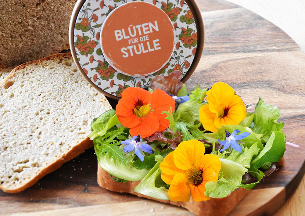 Zuchtset Butterbrot-Blüten