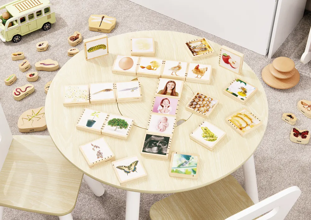 Holztäfelchen "Lebenszyklus", 25-tlg.