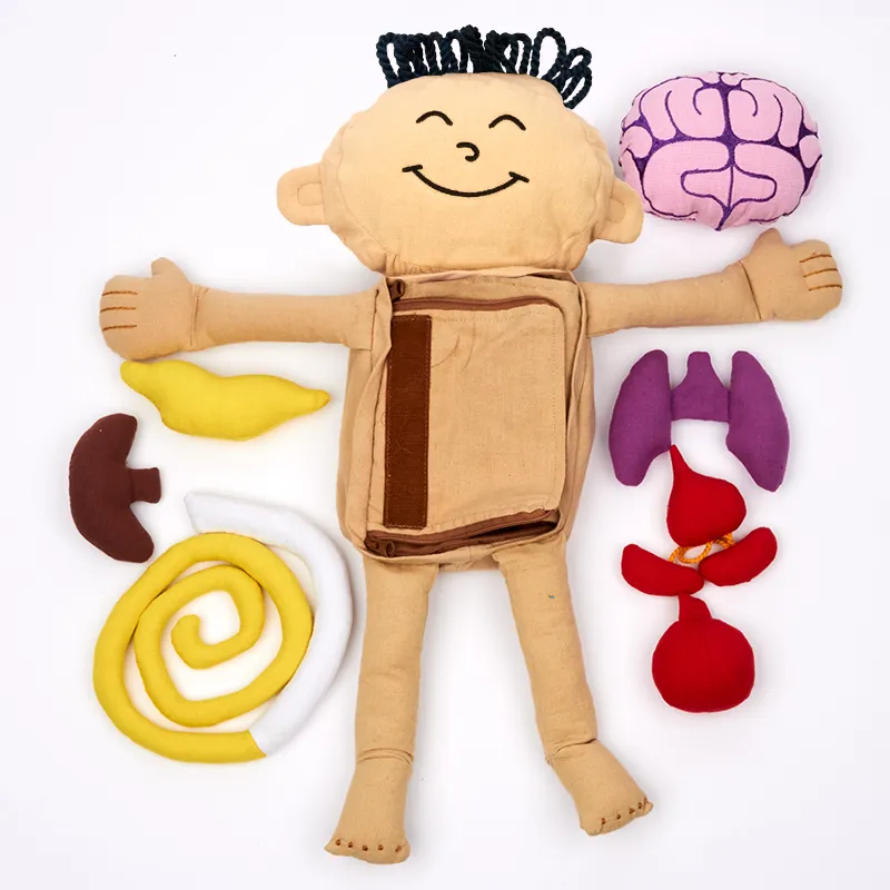 Hagemann Forscherpuppe Mein Körper