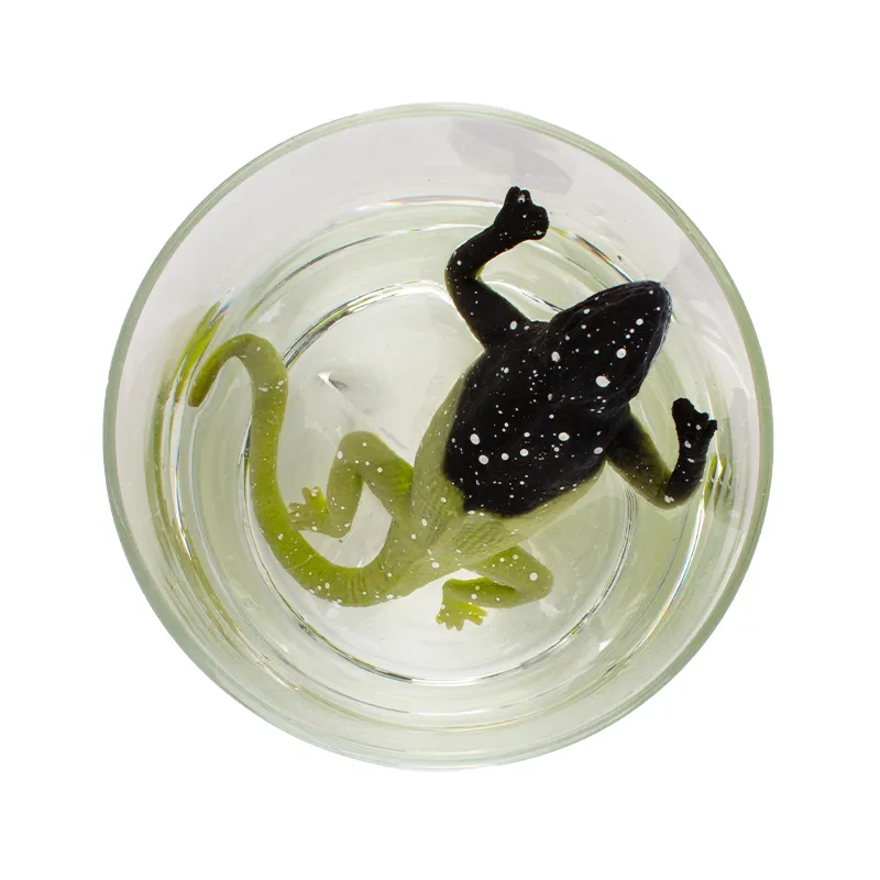 Farbwechselnde Eidechse