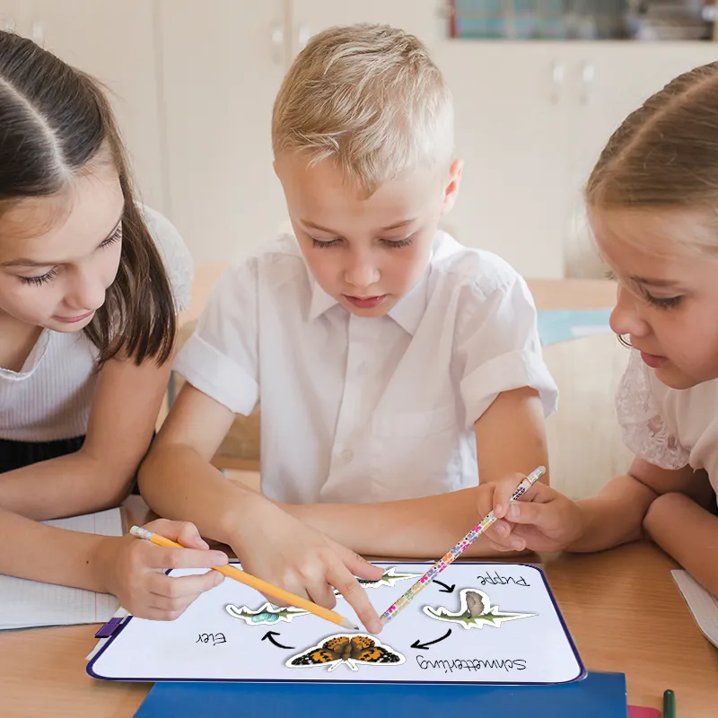 Lebenszyklus-Lernset Schmetterlinge & Co