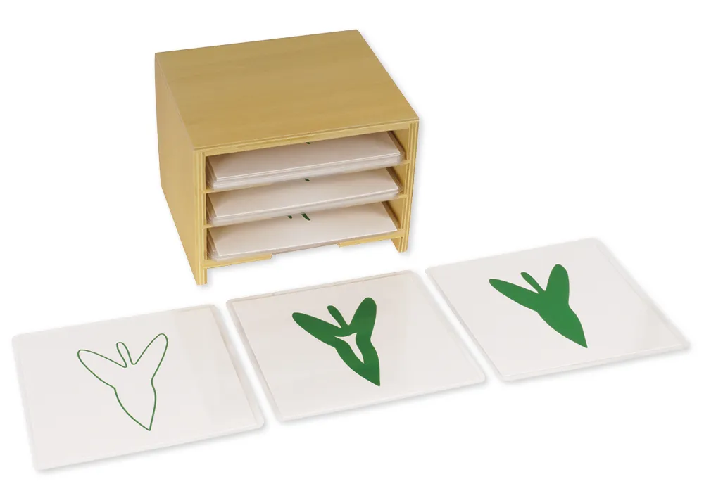 TimeTEX Kasten mit 3 Fächern für die botanischen Karten "Montessori Premium"
