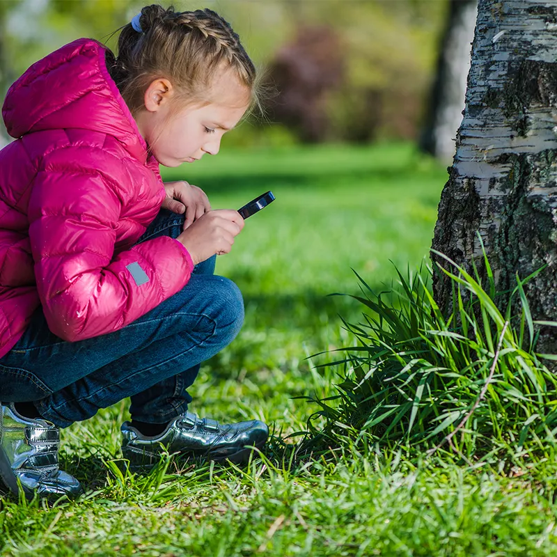 Buntes Lupenset, 8 Stück