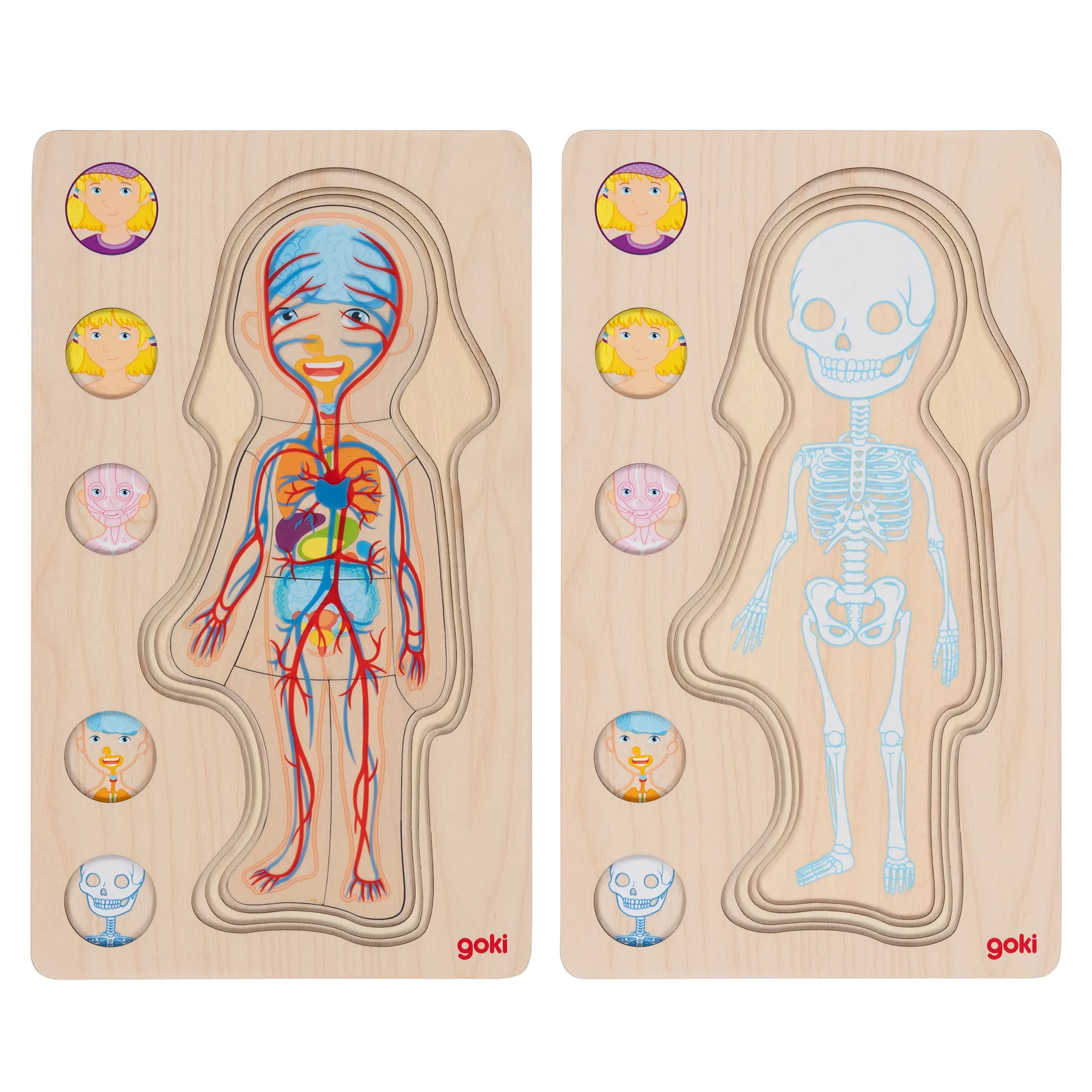 Schichtenpuzzle Anatomie Mädchen