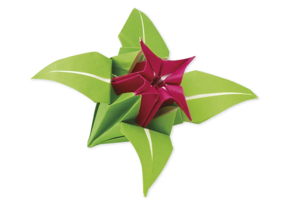 Faltblätter aus Origamipapier 19x19 cm, 96 Blatt