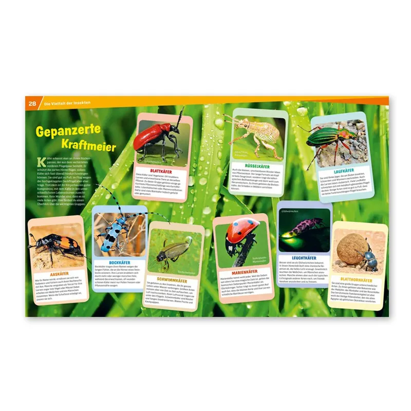 WAS IST WAS Insekten (Band 30)