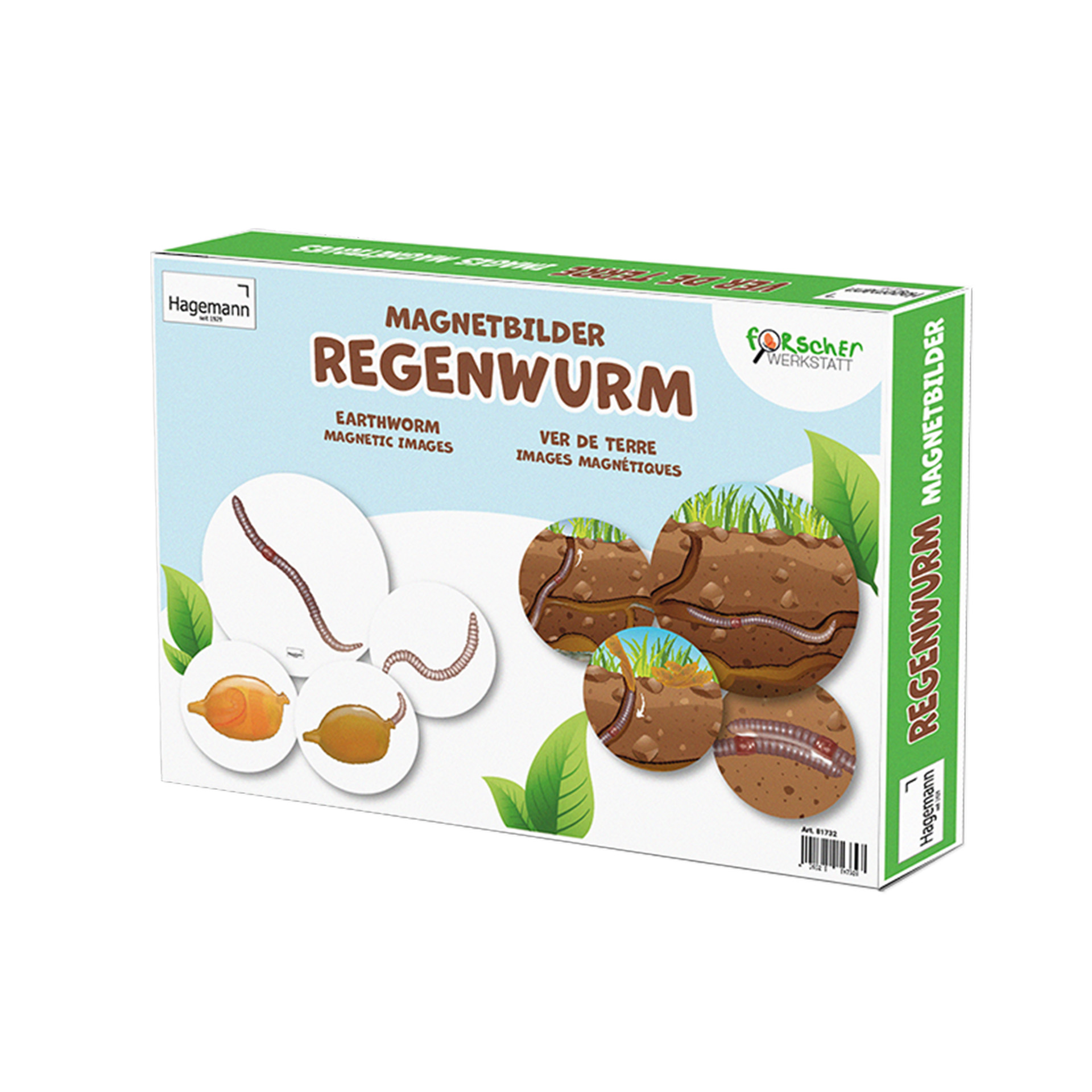 Hagemann Magnetbilder Leben und Lebenszyklus des Regenwurms