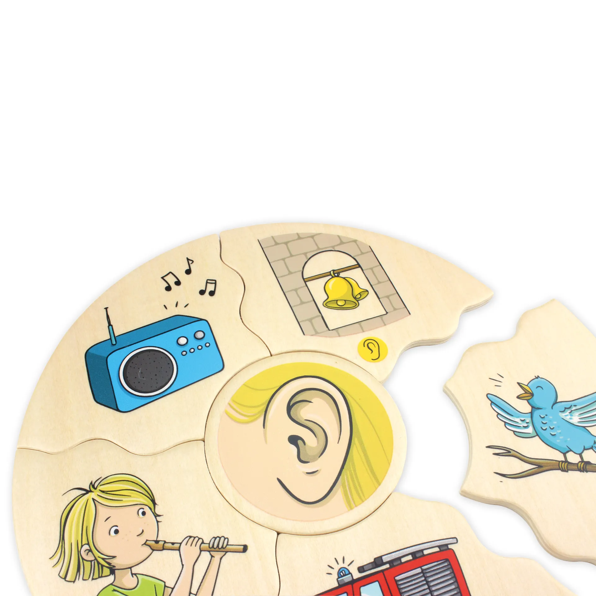 Puzzle Humanico "5 Sinne", 30-tlg.