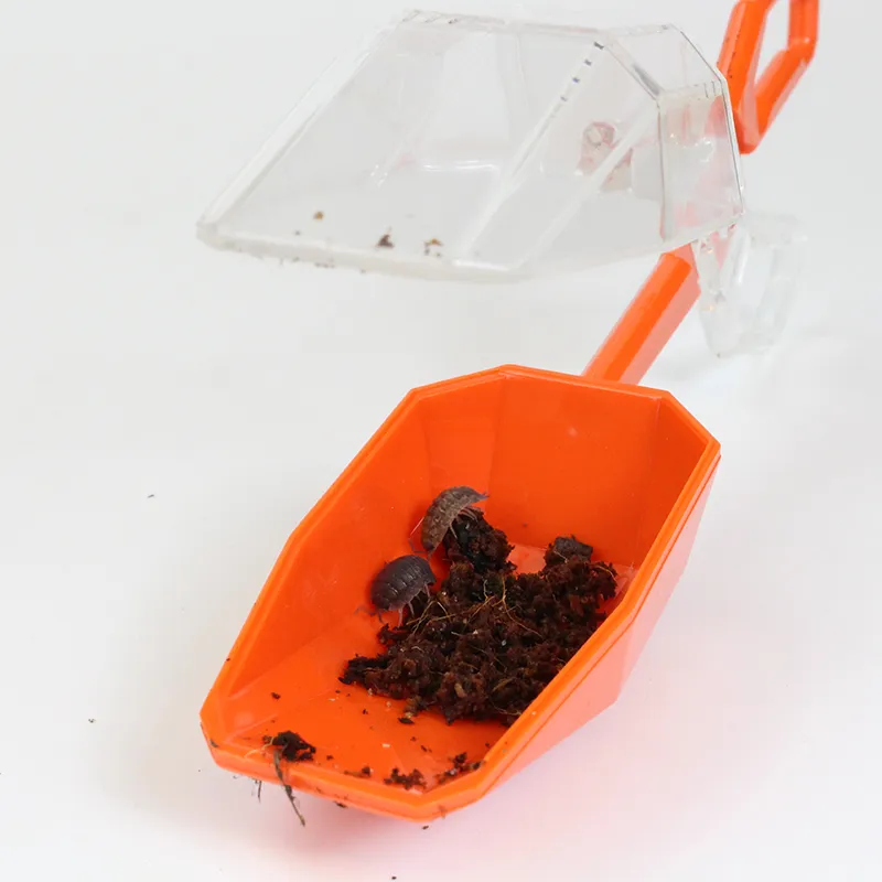 Hagemann Entdeckerset Insekten & Co