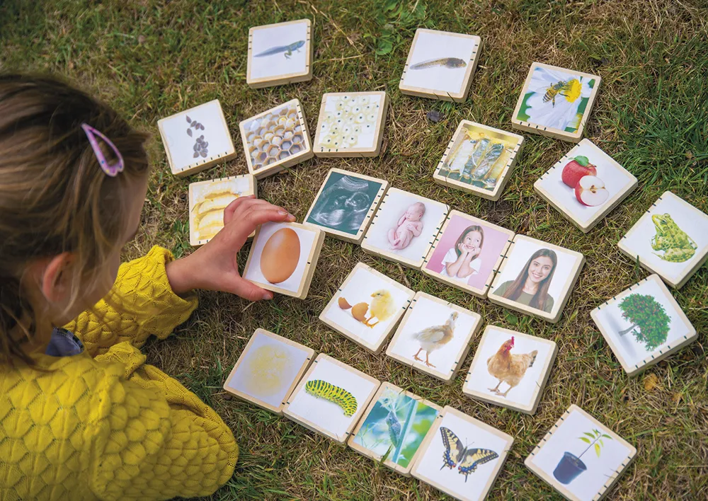 Holztäfelchen "Lebenszyklus", 25-tlg.