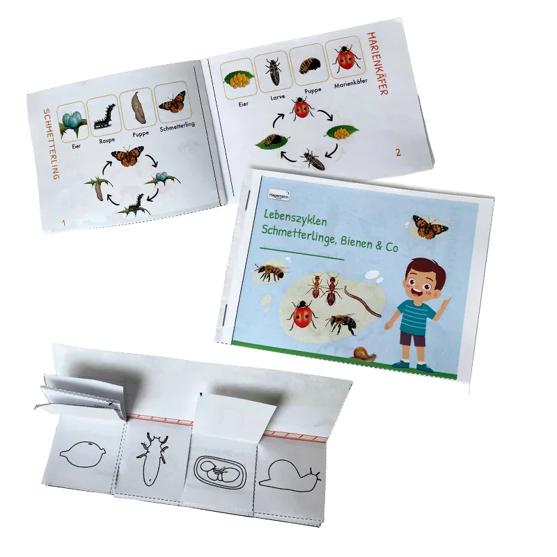 Hagemann Flipchart-Spiel Lebenszyklus Schmetterlinge, Bienen & Co