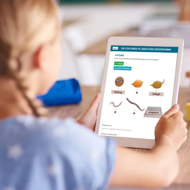 Hagemann Magnetbilder Leben und Lebenszyklus des Regenwurms