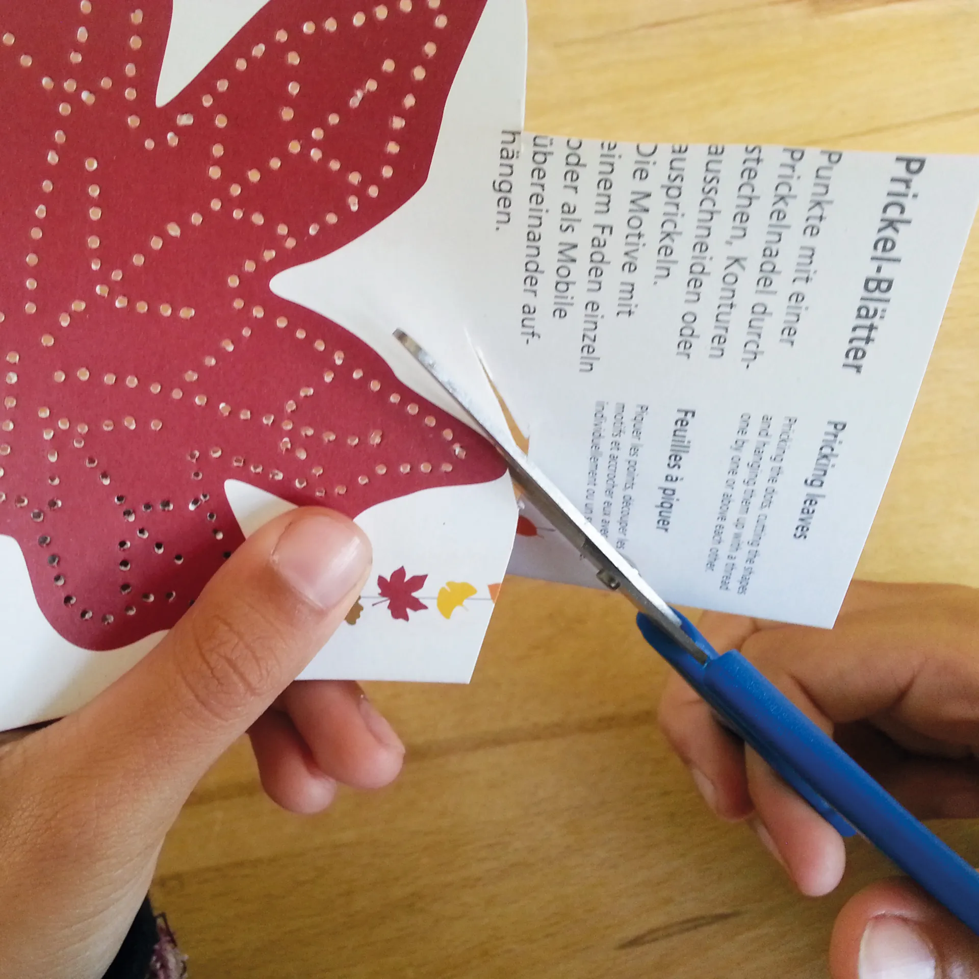 Prickelmotiv DIN A5, 10 Bögen