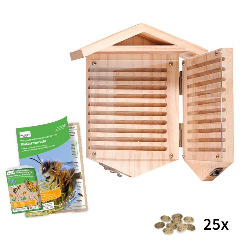 Hagemann Zuchtset Wildbienen zum Aufklappen, Rote Mauerbiene (mit 25 Kokons)
