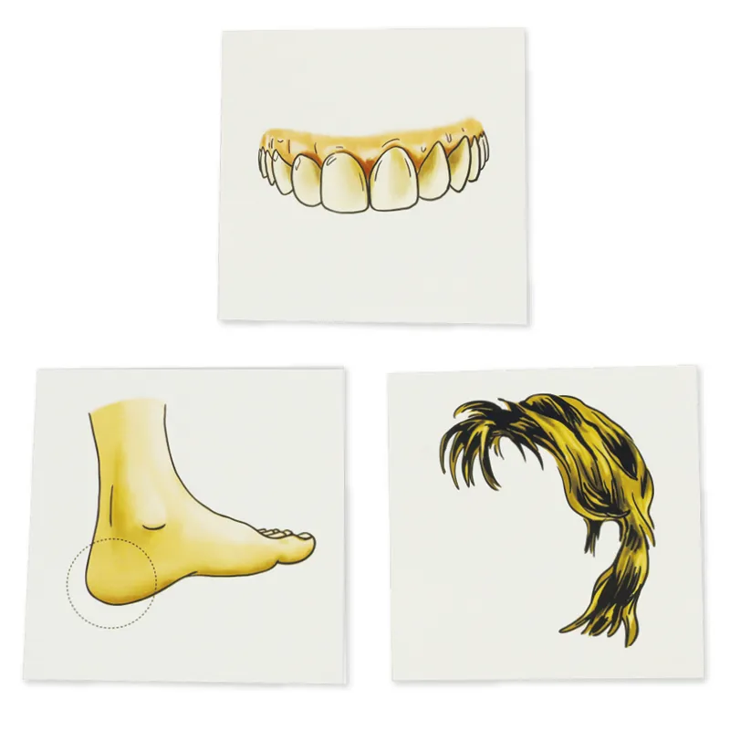 Bilderbox "Vocabular Körper, Körperflege, Gesundheit"