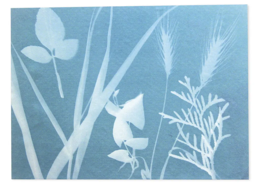 Foto-Solarpapier, mittel (25 Blatt 27,9 x 21,6 cm)