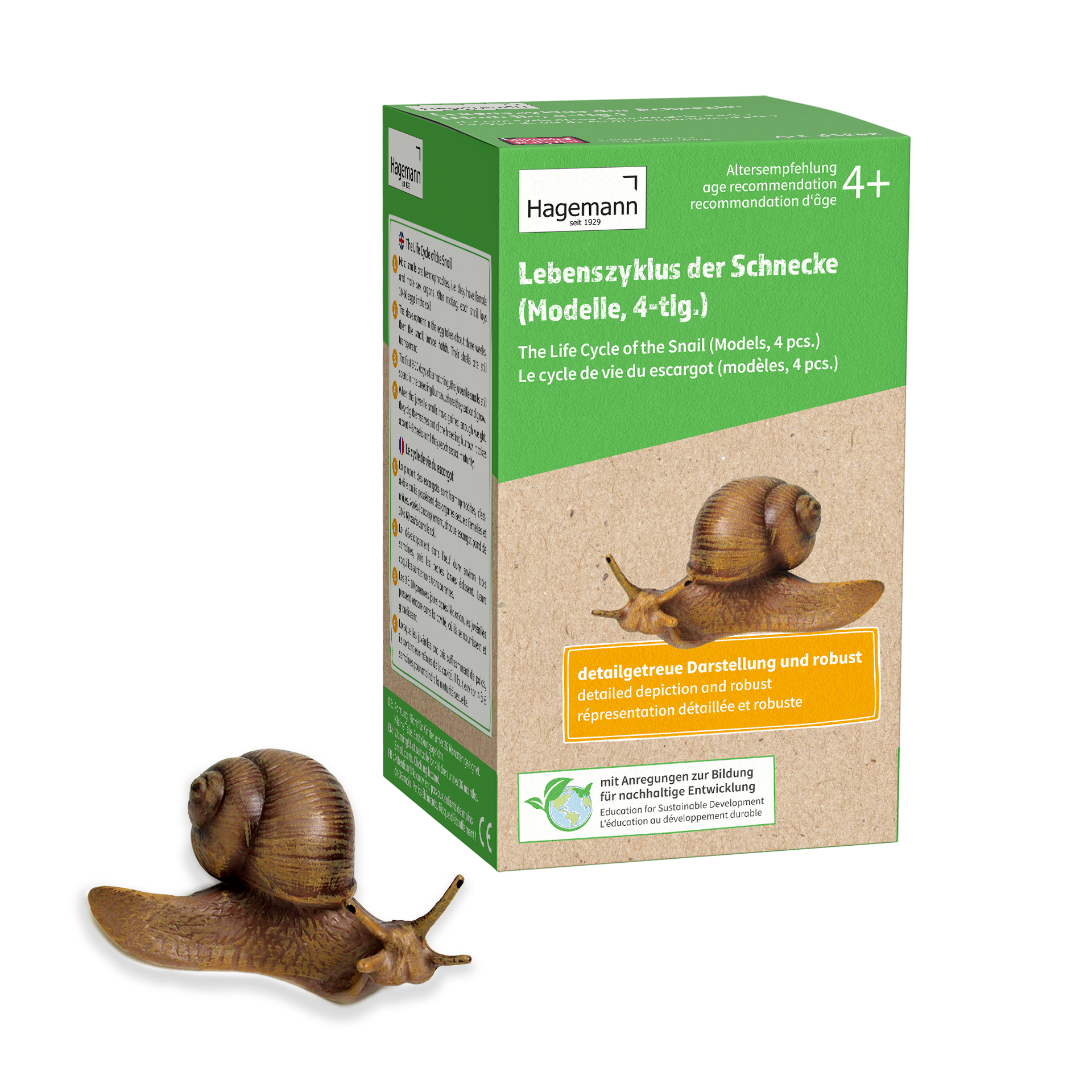 Hagemann Lebenszyklus-Modelle Schnecke, 4-tlg.