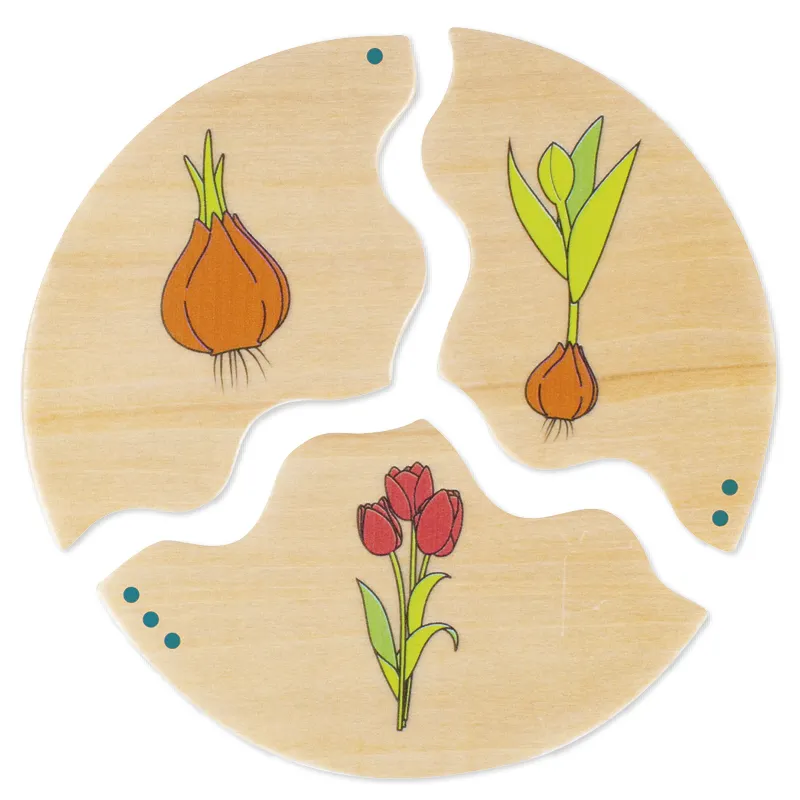 Entwicklung, 10 Puzzles 