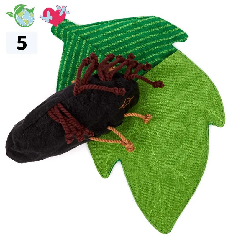 Wendepuppe Lebenszyklus Marienkäfer, 4-tlg 