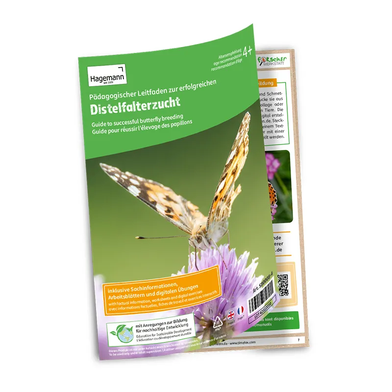 Hagemann Klassenprojektset Schmetterlinge (30-35 Raupen)