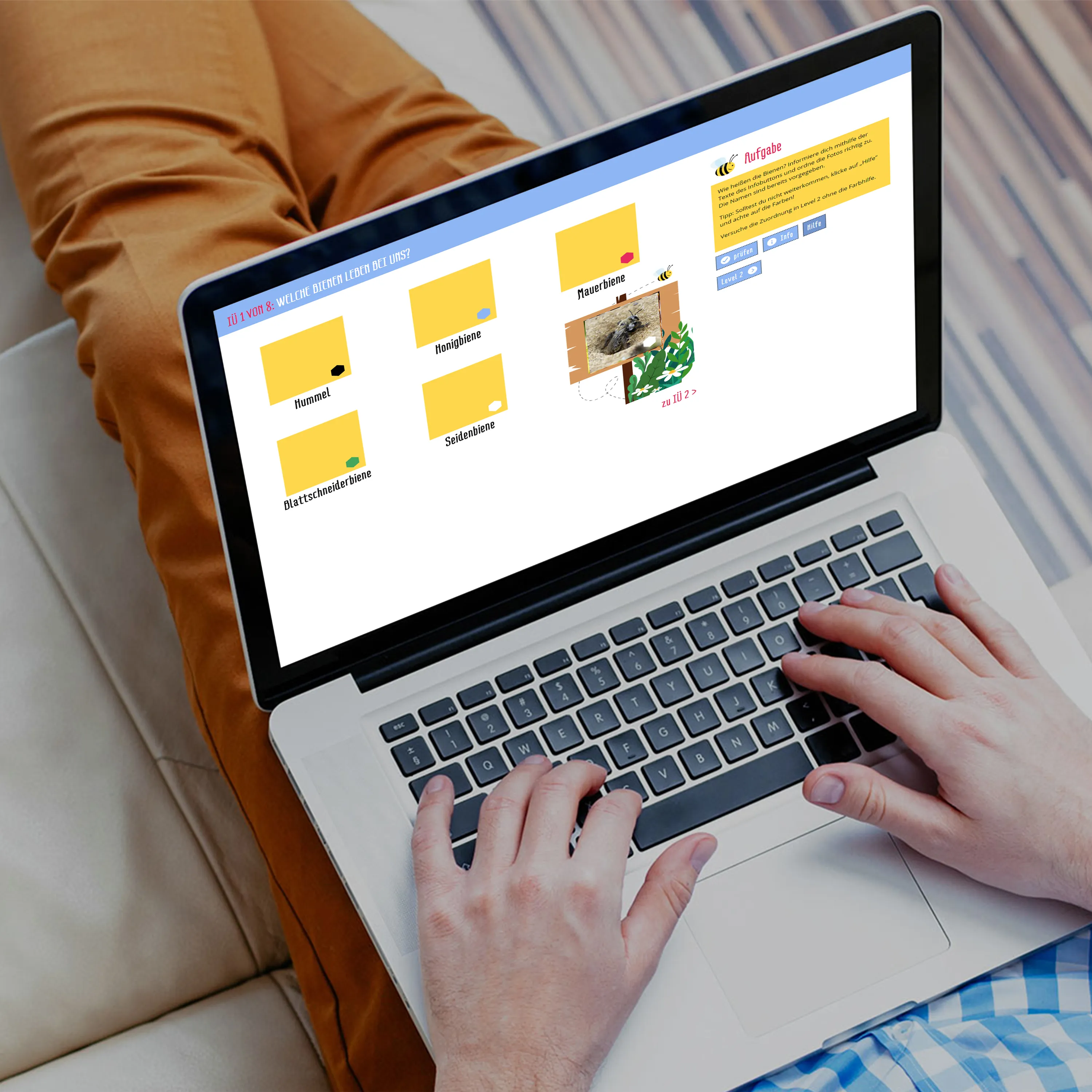 Medienheft Wildbienen und Honigbienen