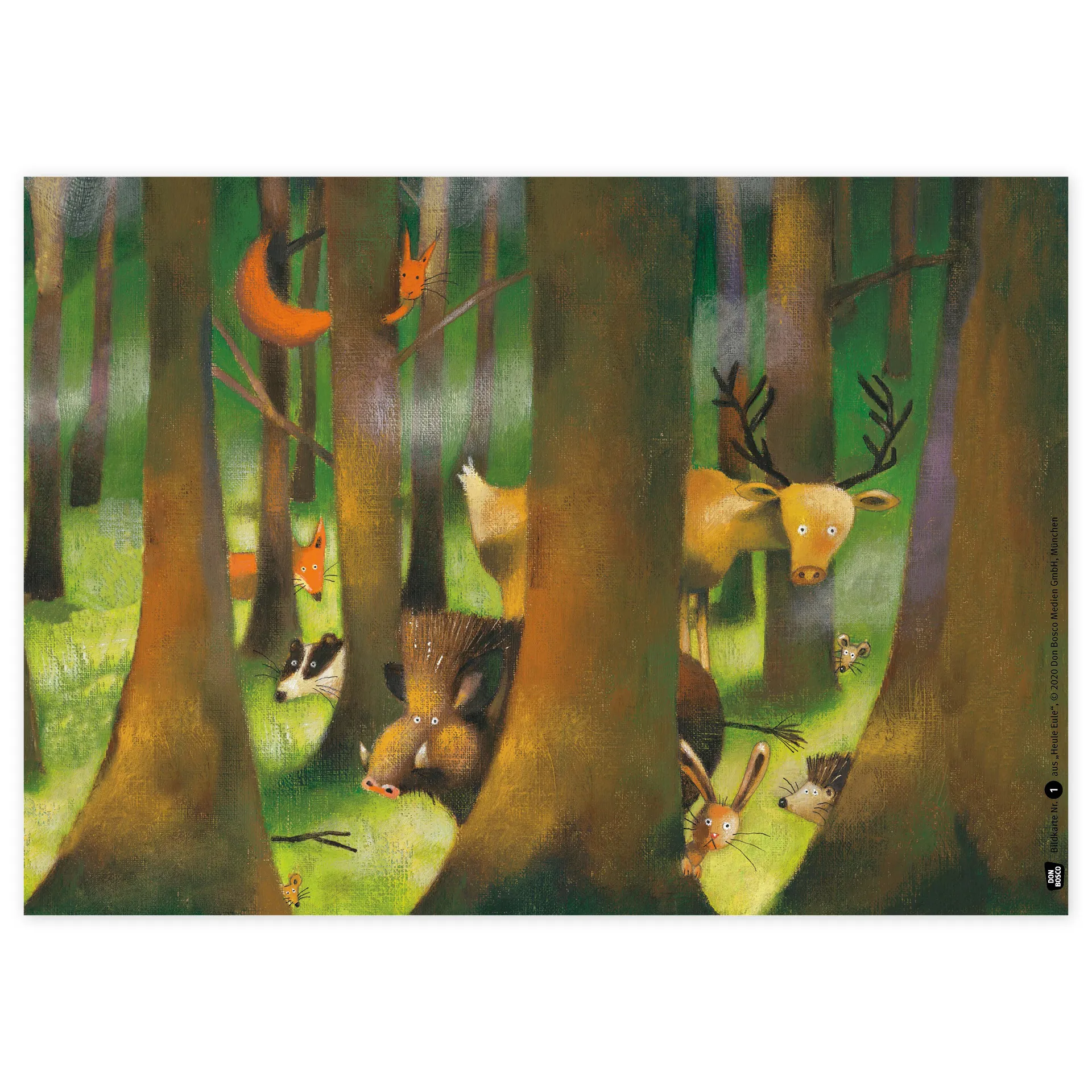 Bildergeschichten-Karten "Heule Eule", 13-tlg.