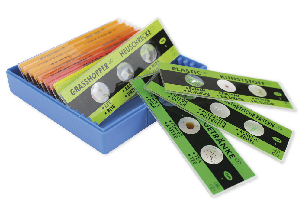 Fertig-Präparate zum Mikroskopieren (36 Stück)