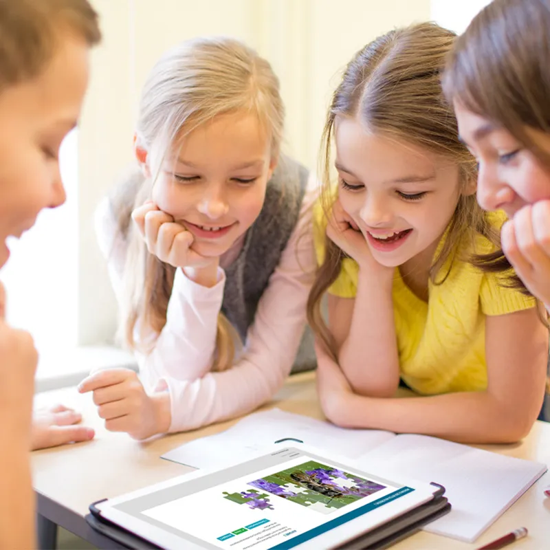 Hagemann Zuchtset Wildbienen zum Aufklappen, Rote Mauerbiene (mit Gutschein, 25 Kokons)