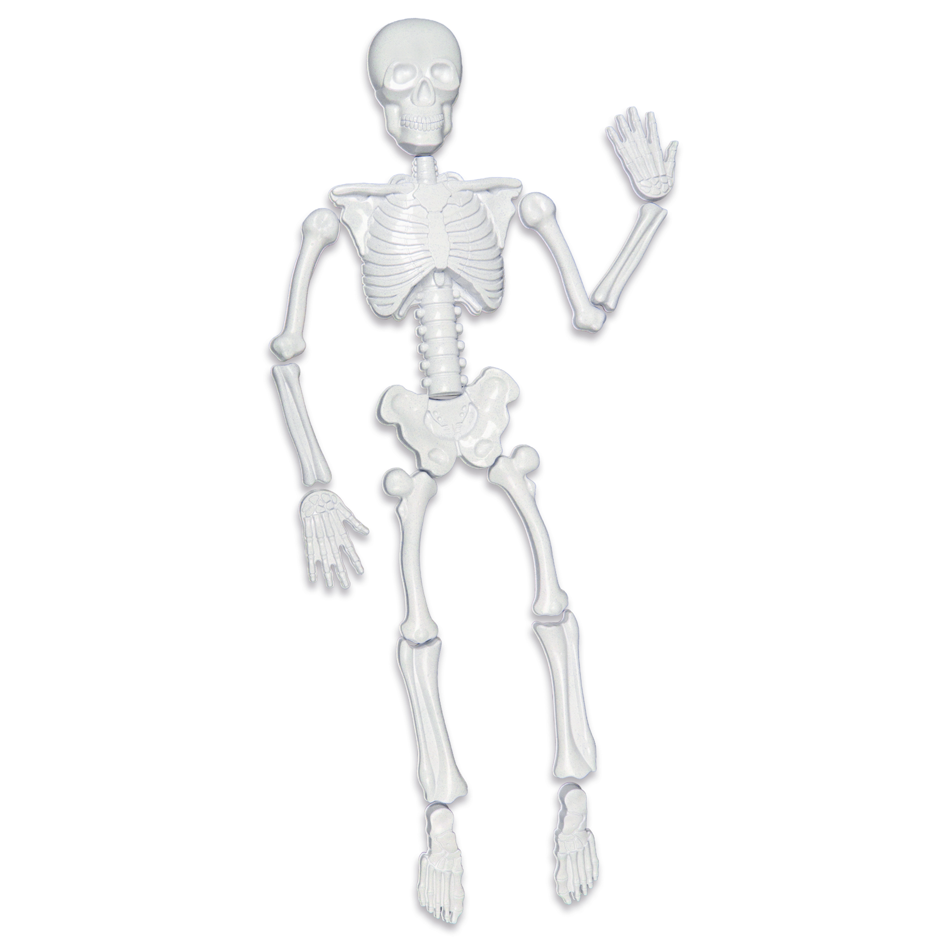 Sandkastenformen Skelett, 15-tlg.