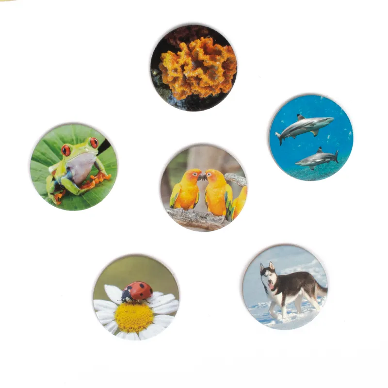 Lernspiel Tierwelten entdecken und klassifizieren