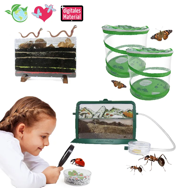 Klassenprojektset Tiere züchten und beobachten