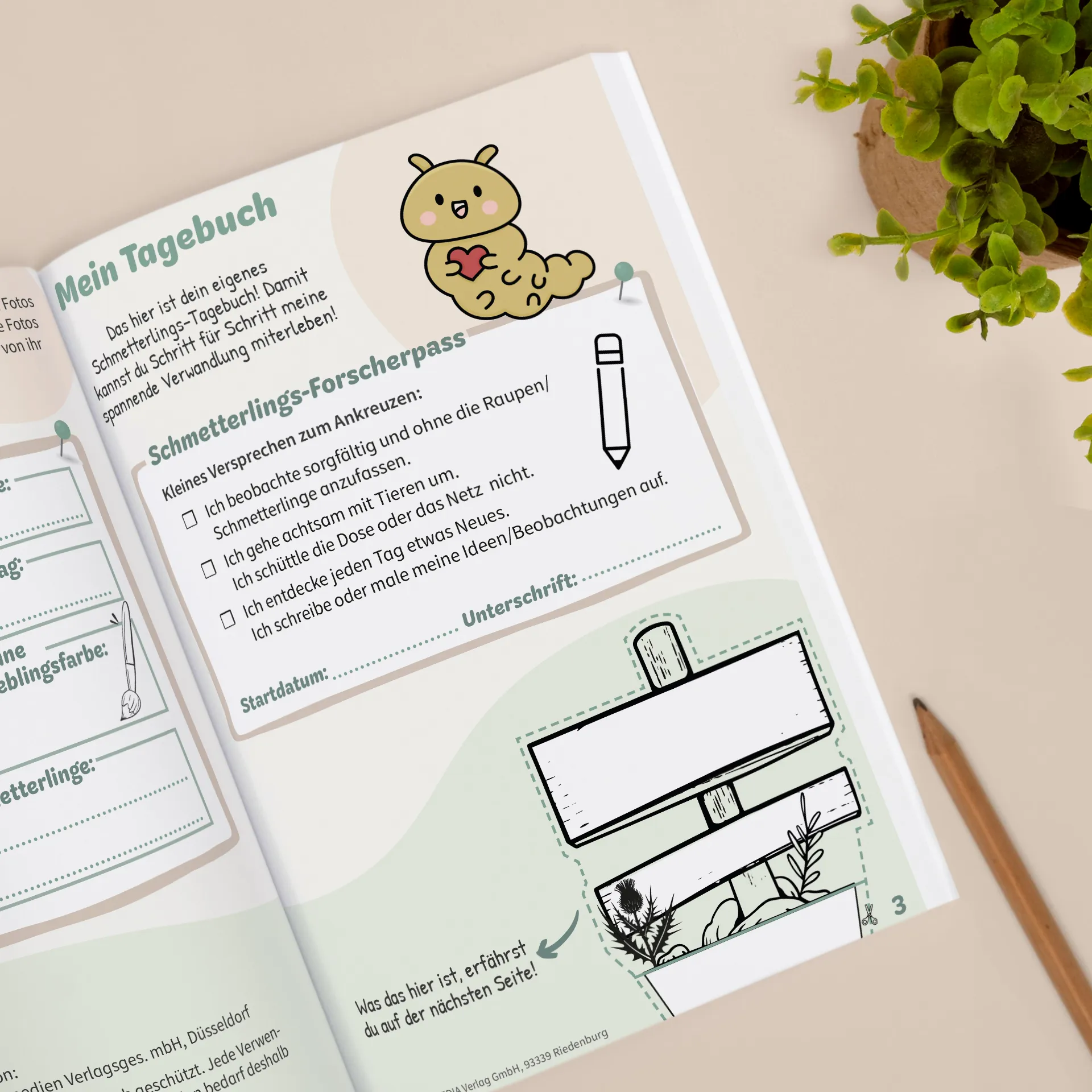 Hagemann Schmetterlings-Tagebuch