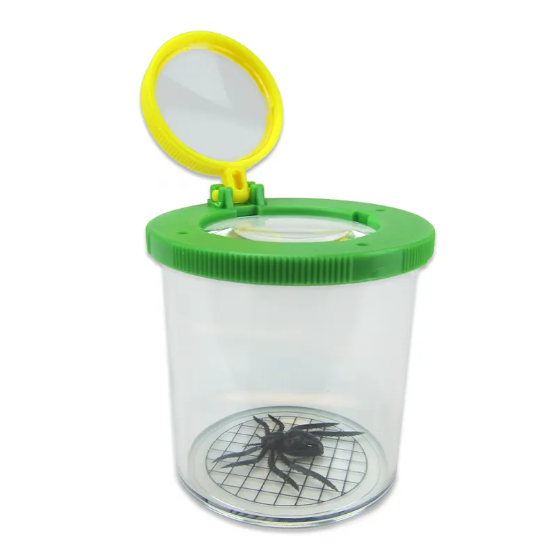 Hagemann Gruppenprojektset Stabschrecken