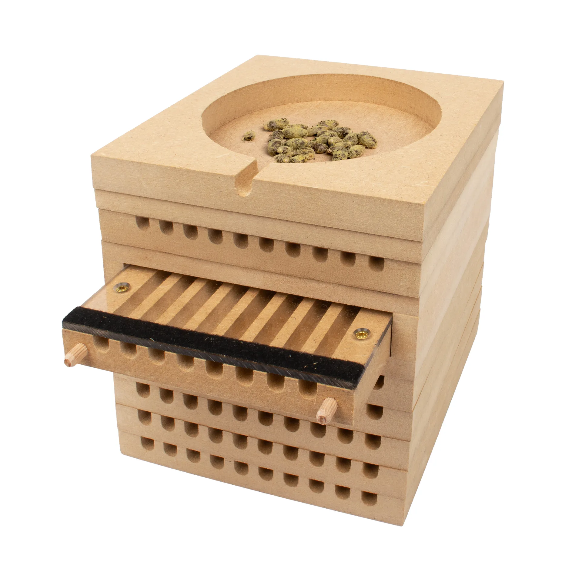 Hagemann Zuchtset Wildbienen, Gehörnte Mauerbiene (mit 50 Kokons)